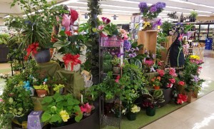 The Market Grocery Store Fresno