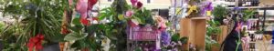 Floral Fresno | The Market Grocery Store